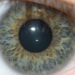 Read more about the article Iris Recognition