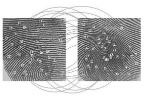 Read more about the article Finger Vein Recognition